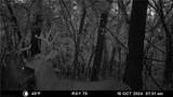  E 192nd Street - Photo 64