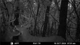  E 192nd Street - Photo 65