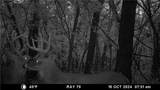  E 192nd Street - Photo 66