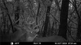  E 192nd Street - Photo 68