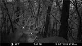  E 192nd Street - Photo 69