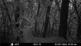  E 192nd Street - Photo 70