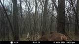  E 192nd Street - Photo 74
