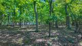 Lot #251 Grand Cove Road - Photo 5
