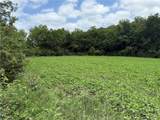 Lot 5 259th Street - Photo 10