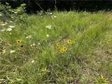  County Road 370 N/A - Photo 30