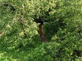 14710 County Rd 337 N/A - Photo 13