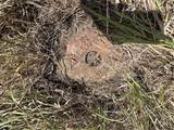 14710 County Rd 337 N/A - Photo 23