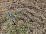 14710 County Rd 337 N/A - Photo 24
