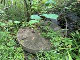 14710 County Rd 337 N/A - Photo 27