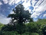 14710 County Rd 337 N/A - Photo 37