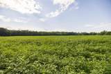 Lot 1 188th Street - Photo 20