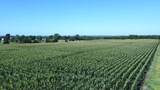 1062 RD Road - Photo 5