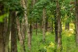  100th Road - Photo 48