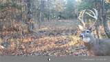  100th Road - Photo 72
