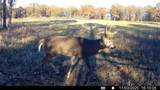  100th Road - Photo 73