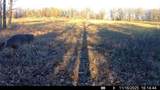  100th Road - Photo 75