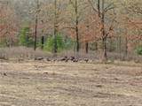  100th Road - Photo 78