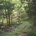 11315 Phillips Road - Photo 11
