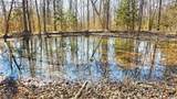 11315 Phillips Road - Photo 4