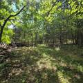 11315 Phillips Road - Photo 8