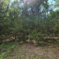 11315 Phillips Road - Photo 9