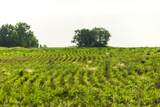  Cr 330 Road - Photo 22