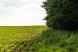  Cr 330 Road - Photo 23