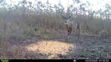 0000 59 Highway - Photo 16