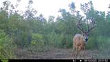 0000 59 Highway - Photo 21