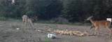 0000 660th Avenue - Photo 13