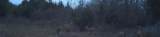 0000 660th Avenue - Photo 15