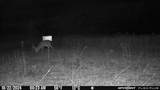 0000 660th Avenue - Photo 18