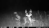 0000 660th Avenue - Photo 10