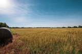 00000 Underhill Road - Photo 9