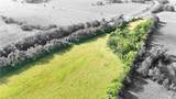  Hackberry Road - Photo 18