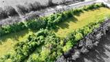  Hackberry Road - Photo 19