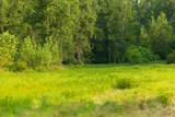 TBD Highway 190 N/A - Photo 36