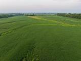TBD 1300th Road - Photo 13