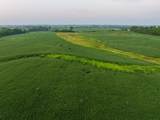 TBD 1300th Road - Photo 14