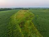TBD Tract 1 1300th Road - Photo 17