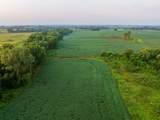 TBD Tract 2 1300th Road - Photo 12