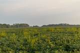 TBD Tract 2 1300th Road - Photo 30