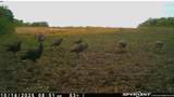  E 280th Street - Photo 16