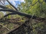  E 280th Street - Photo 9