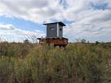  E 280th Street - Photo 10