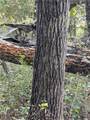  270th Avenue - Photo 3