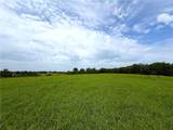 11770 246th Street - Photo 13