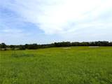 11770 246th Street - Photo 15