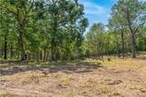 28186 Brushy Chapel Avenue - Photo 29